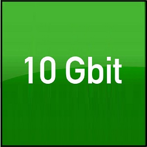 10 Gigabit Ethernet over Copper Cabling